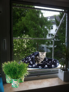 Katzenbalkon zur Fenstersicherung