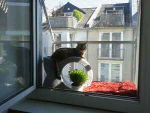 Katzenbalkon zur Fenstersicherung