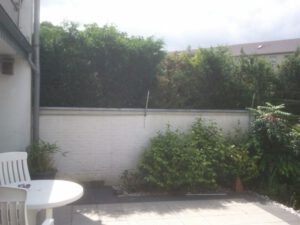 Mauer Terrasse mit Katzennetz Überkletterschutz