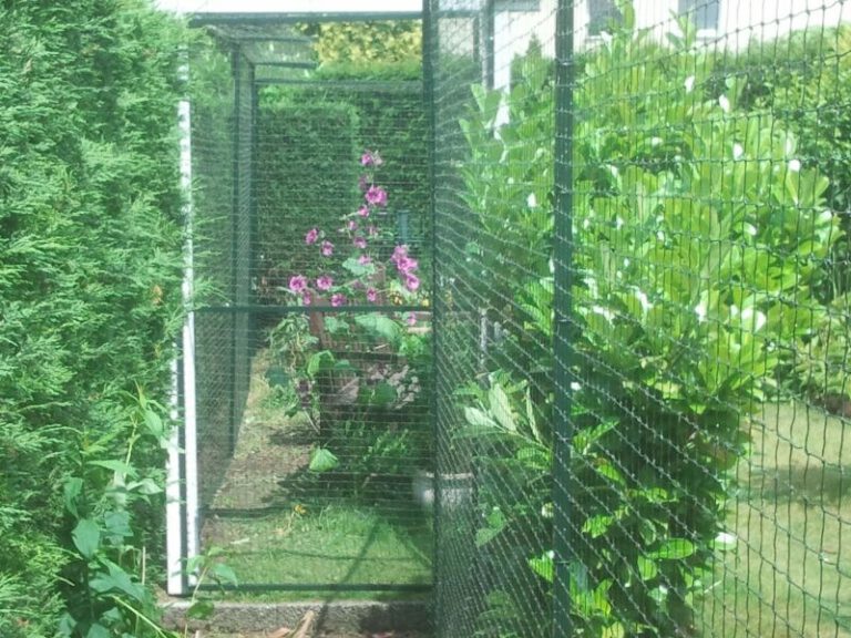 Garten katzensicher gestalten. System für Garten