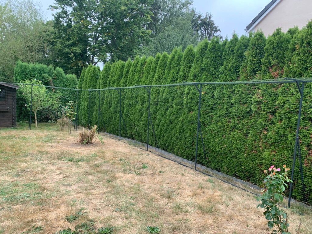 36+ Ausbruchsicherer Katzenzaun Garten, Wir verraten euch tipps &amp;
