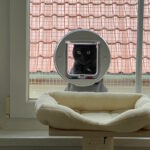 Katzenklappe-in-Fensterscheibe