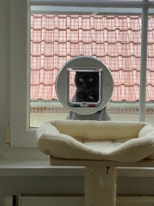Katzenklappe-in-Fensterscheibe